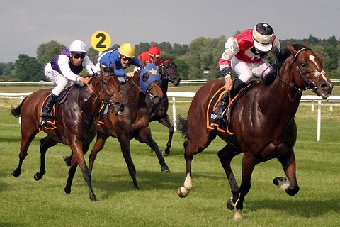 Windsor Racecourse: https://pixabay.com/photos/horse-race-horse-racing-jockey-2714846/