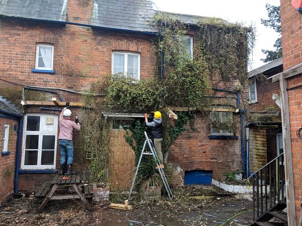 Team pulling down the ivy from the side of the pub