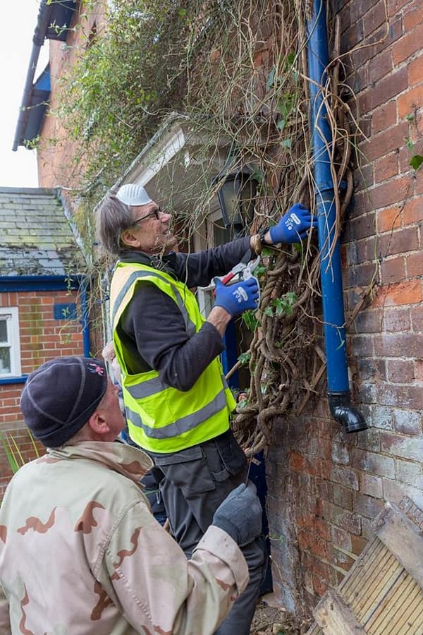 Tackling the virginia creeper on the side of the pub