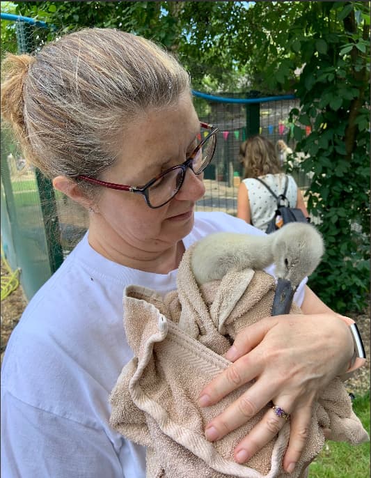 Rachel with one of the swans