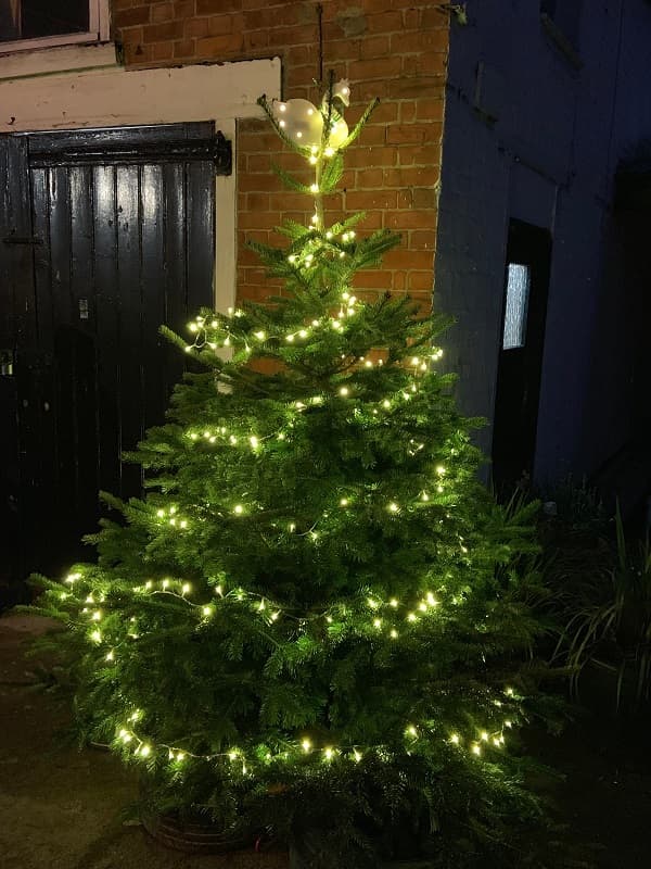 The Courtyard Christmas tree