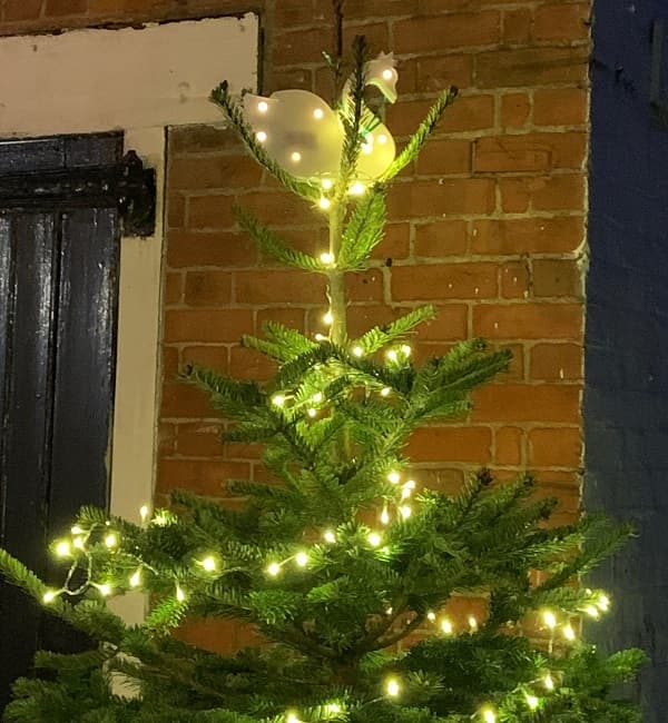 Swan at the top of the Christmas trees
