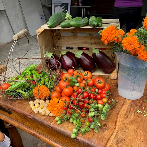 Tomatoes, aubugines et al .. a feast of colour