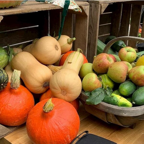 Range of vegetables of differing colours