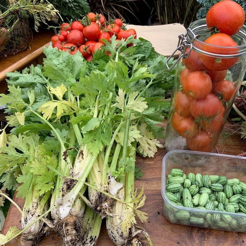 A veritable feast of fresh vegetables