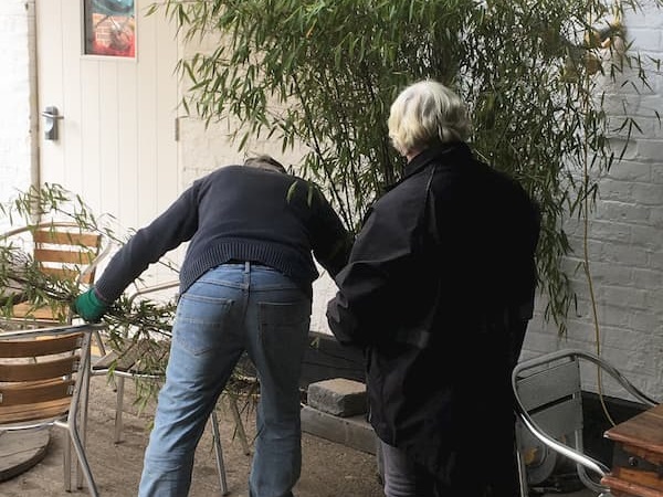 Bas and Diana trimming the bamboo