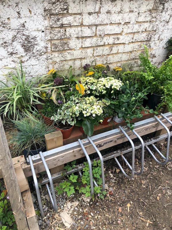 Real mixture of flowers and ferns at the outside wall