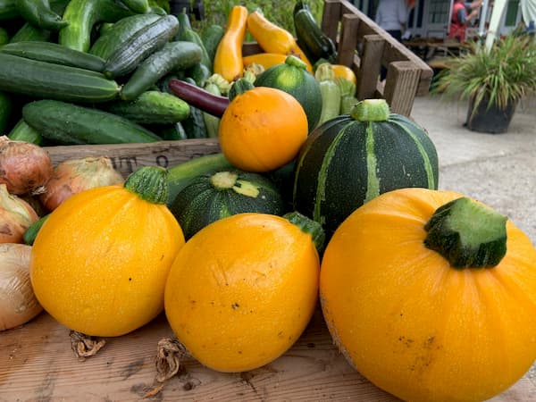 Yellow and green pumpkins