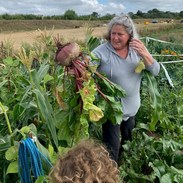 Pam pulling up a large root vegetable