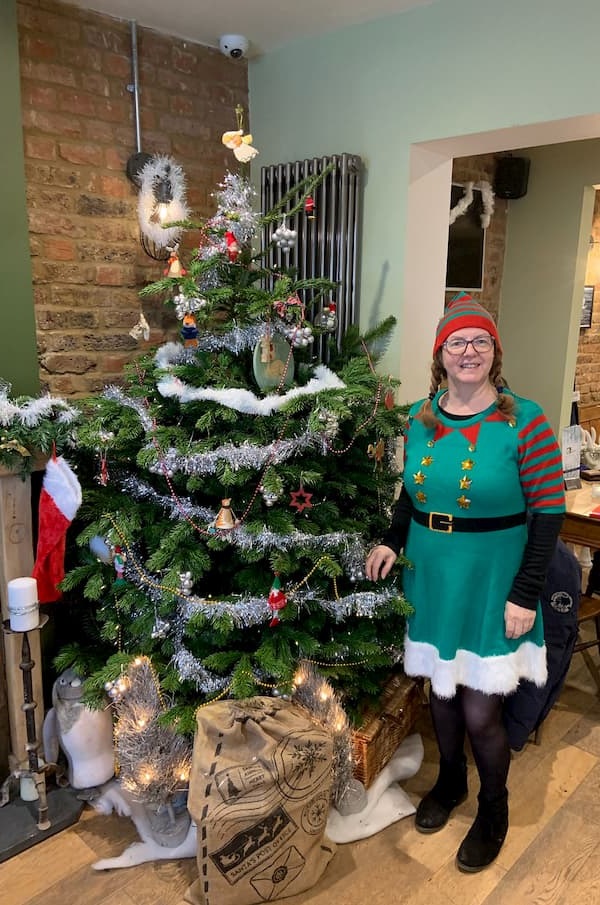 Santa's helper