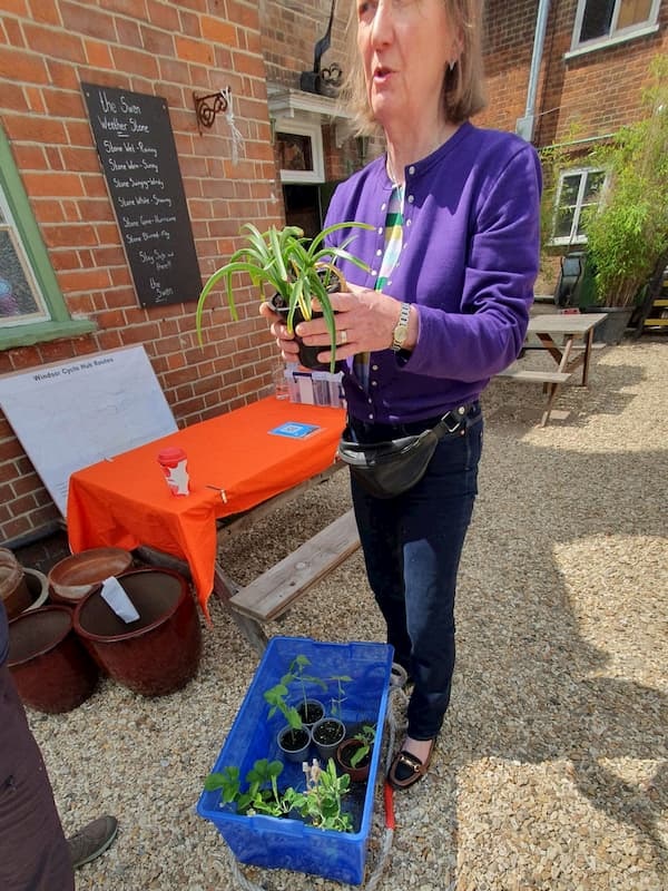 Izzy with a collection of flowers ready for planting