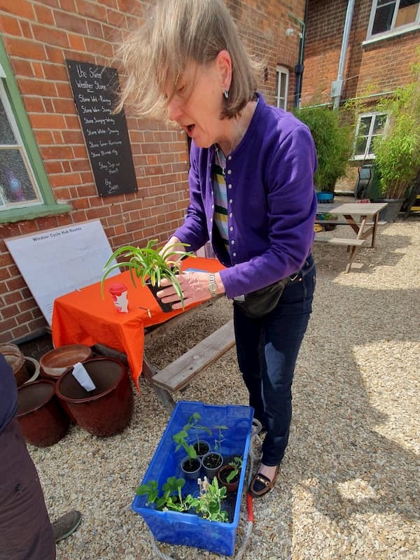 Izzy working out what to do with a plant