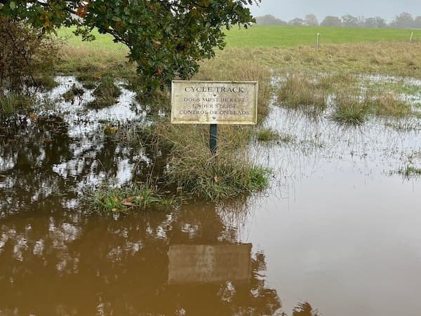 Huge puddle with sign in middle saying no cycling!