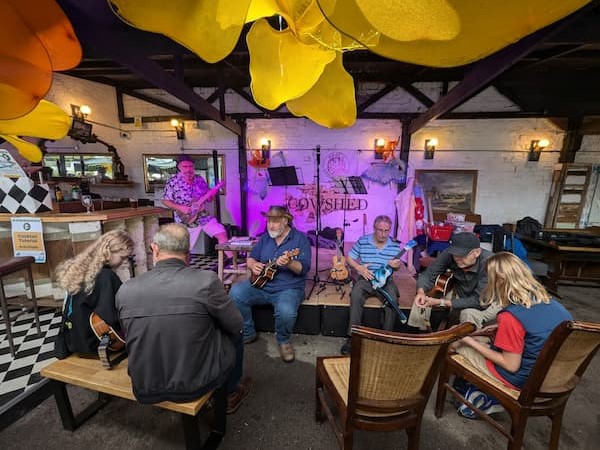 More learning the ukulele