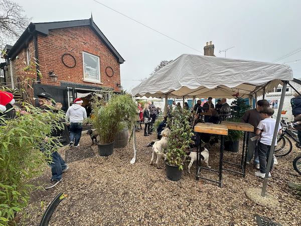 AThe Courtyard and Coach House looking fabulous