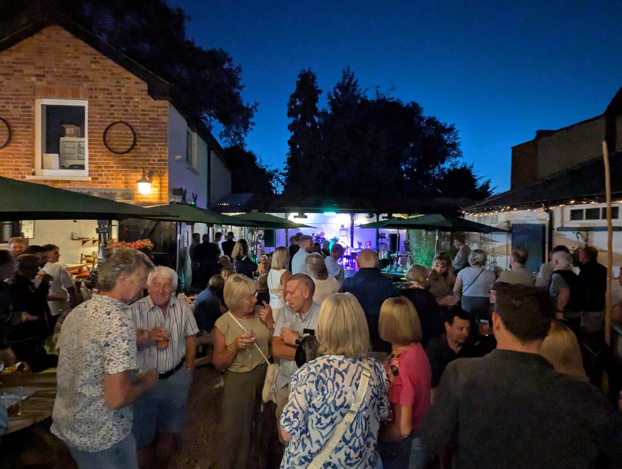 SwanFest 2025 Day Two