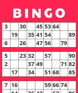 1-90 bingo card example