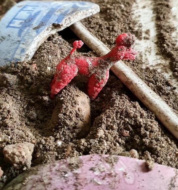 A poodle toy in the kitchen debris