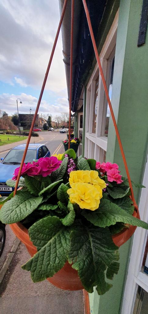 Newly populated hanging basket outside the main door