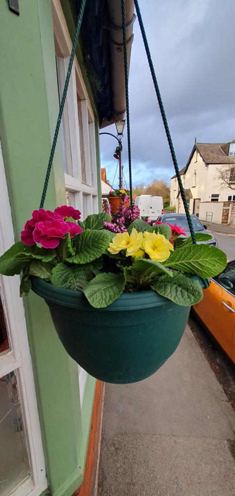 Lovely yellow and pink flowers in the hangling baskets