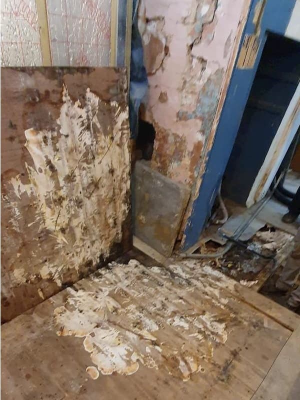 Rotten wood in The Kitchen