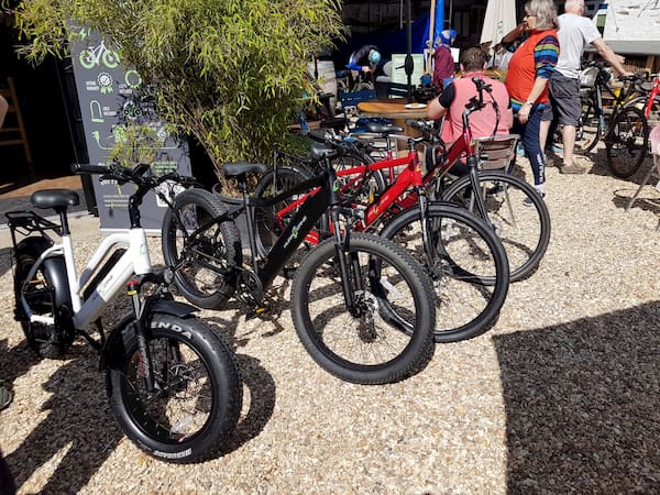 Row of bikes with chunky tyres.